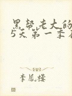 黑帮老大的365天第一季在线观看