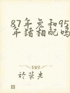 87年兔和95年猪相配吗