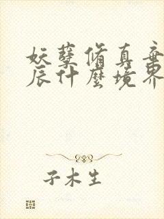 妖孽修真弃少叶辰什么境界