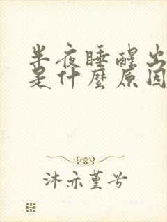 半夜睡醒出虚汗是什么原因