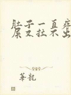 肚子一直疼想拉屎又拉不出来