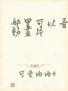 哪里可以看日本动画片