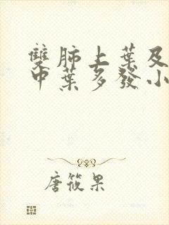 双肺上叶及右肺中叶多发小结节