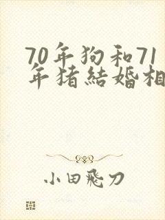 70年狗和71年猪结婚相配吗封面