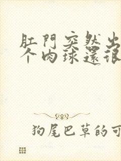 肛门突然出来一个肉球还很疼