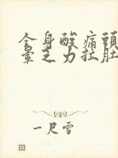 全身酸痛头疼头晕乏力拉肚子