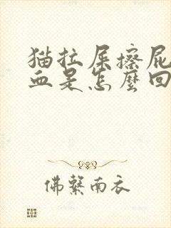 猫拉屎擦屁股带血是怎么回事