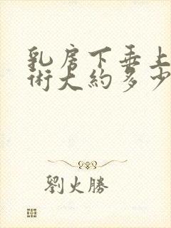 乳房下垂上提手术大约多少钱