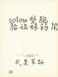 solow双胞胎姐妹的用心