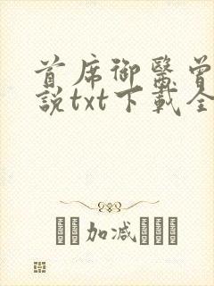 首席御医曾毅小说txt下载全集封面