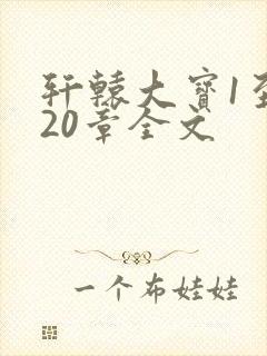 轩辕大宝1至720章全文封面