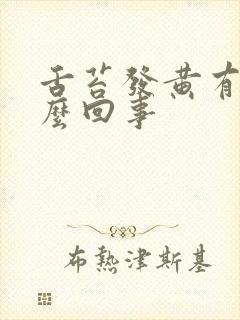 舌苔发黄有味怎么回事