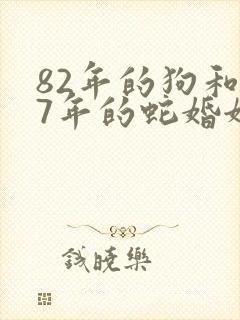 82年的狗和77年的蛇婚姻相配吗封面
