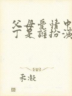 父母爱情中的老丁是谁扮演的