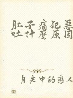 肚子痛犯恶心想吐什么原因