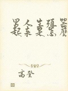 男人生殖器硬不起来是怎么回事