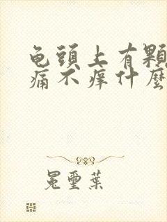 龟头上有颗粒不痛不痒什么原因