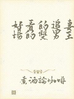 好看的追妻火葬场的双男主文封面