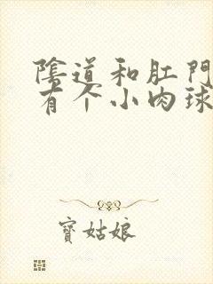 阴道和肛门中间有个小肉球