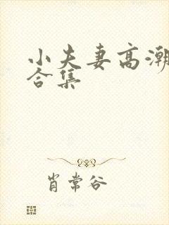 小夫妻高潮偷拍合集封面