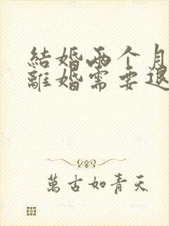 结婚两个月家暴离婚需要退彩礼吗