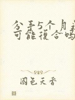 分手5个月还有可能复合吗封面