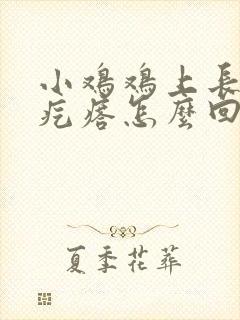 小鸡鸡上长一个疙瘩怎么回事