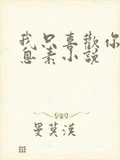 我只喜欢你的信息素小说封面