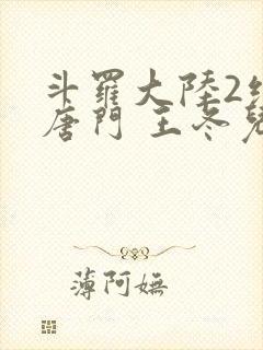 斗罗大陆2绝世唐门 王冬儿封面