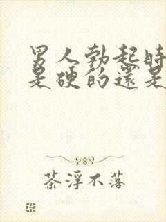 男人勃起时龟头是硬的还是软的