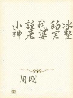 小说我的冰山女神老婆完整版