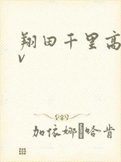翔田千里高潮av
