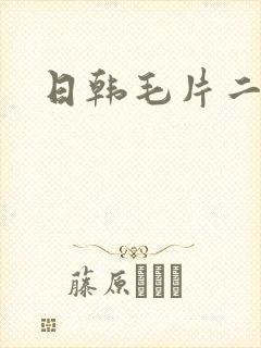 日韩毛片二区封面