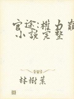 官途:权力巅峰 小说完整