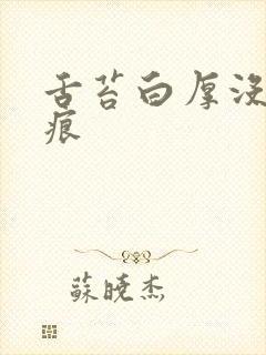 舌苔白厚没有齿痕