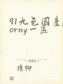 91九色国产porny一区