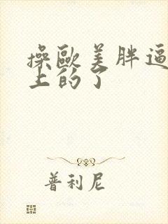 操欧美胖逼网站上的了