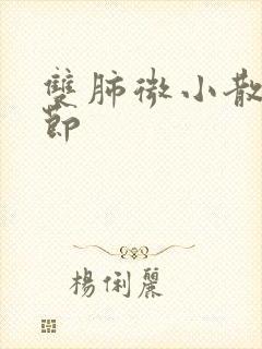 双肺微小散在结节