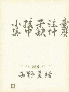 小孩子注意力不集中缺什么元素