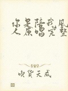 你是陪我风雨的人原唱完整版