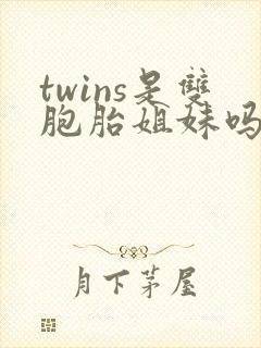 twins是双胞胎姐妹吗