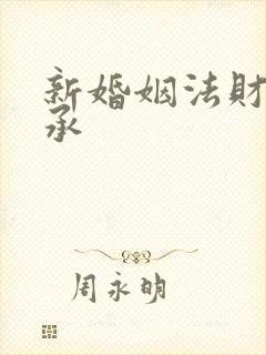 新婚姻法财产继承封面