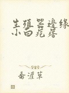 生殖器边缘长了小白疙瘩