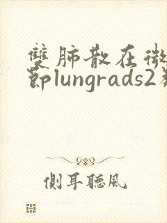 双肺散在微小结节lungrads2类