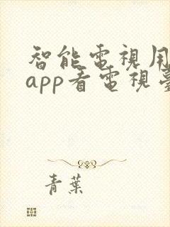 智能电视用什么app看电视台的频道