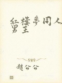 红楼梦同人文双男主