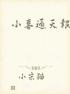 小喜通天报封面