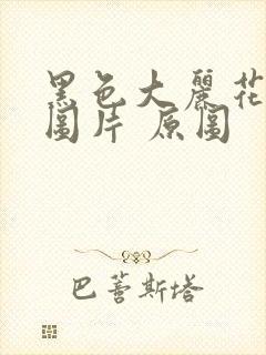 黑色大丽花真实图片 原图