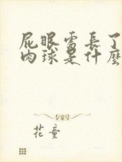 屁眼处长了个小肉球是什么原因