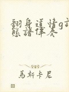 翻身道情g调动态谱伴奏